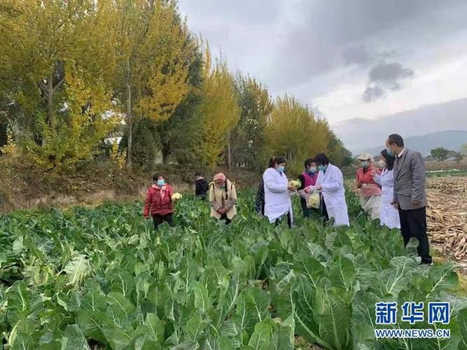 甘肃定西漳县疫情最新表解/甘肃定西 疫情