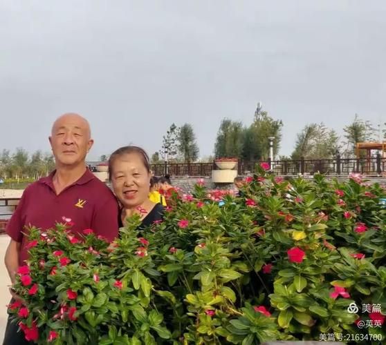 解读疫情最新消息胡杨河/胡杨林疫情最新消息