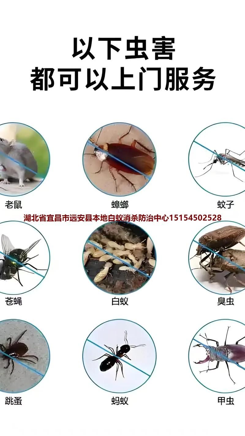 湖北省宜昌市远安县疫情最新表解_宜昌远安区号
