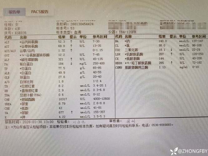关于内蒙古自治区鄂尔多斯鄂托克前旗新增无症状感染者3例,均在清城区的信息