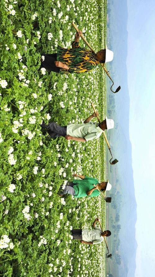山西吕梁岚县今冬新增感染趋势回落/山西吕梁岚县疫情
