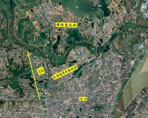 东西湖区哪里地区有疫情了呢/湖北武汉东西湖区有疫情吗
