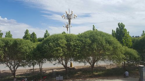 关于新疆维吾尔自治区喀什地区麦盖提县新增8例无症状感染者，涉及香坊区的信息