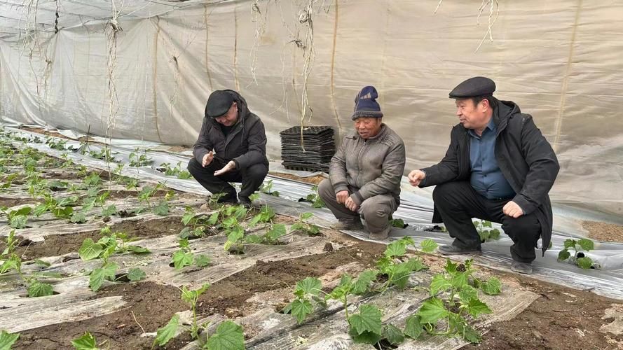 【托克逊县新增疫情关注_托克逊县今日新闻】