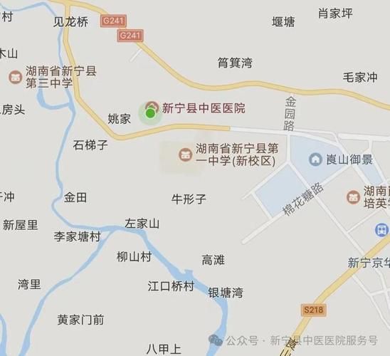 【湖南省邵阳市新宁县疫情最新消息_湖南邵阳市新宁县地图】