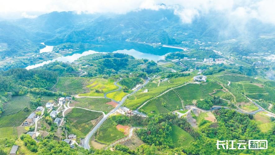 湖北十堰竹溪县为何新增疫情_湖北十堰竹山今天疫情