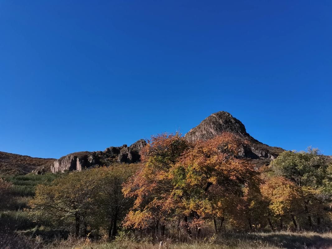 内蒙古自治区赤峰市巴林左旗疫情分布图最新/赤峰市巴林左旗恶性事件