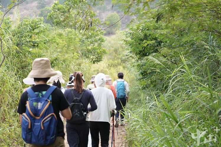 【最新疫情临床广东中山五桂山街道_中山五桂山是什么区】