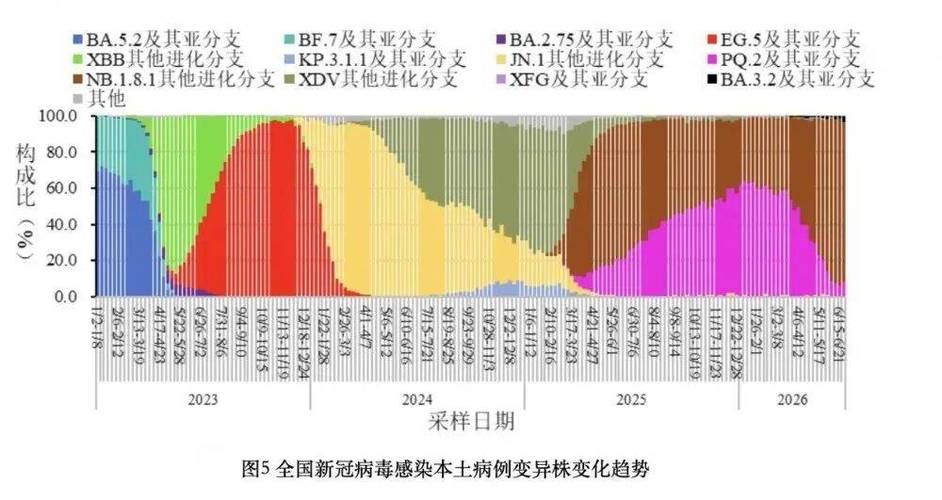 多地增11例死亡病例(死亡病例增至6例)