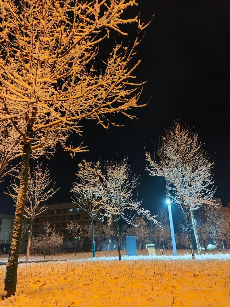 凌河区什么时候可以静默/凌河区未来一周天气会下雪吗