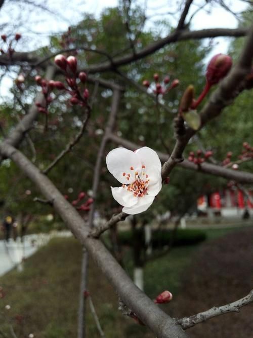 【今冬略阳县疫情最新,近日略阳天气预报查询表最新消息】