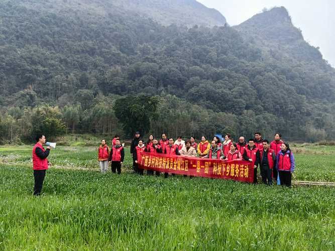 金城江区首例本土确诊来源公布/金城江区是哪个城市