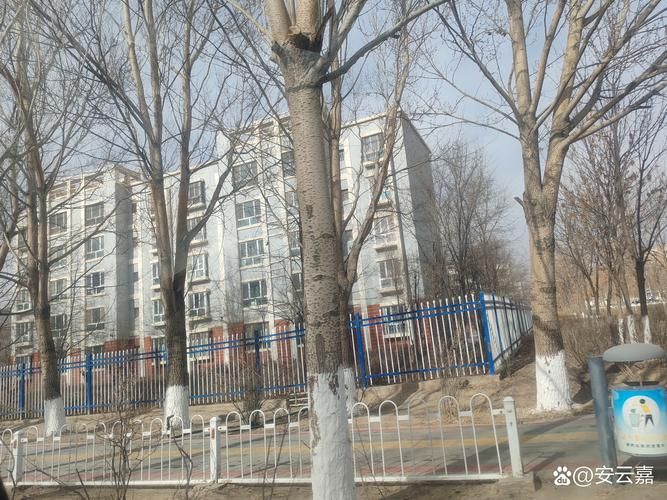 为何新增疫情新疆维吾尔自治区克孜勒苏柯尔克孜自治州阿合奇县的简单介绍