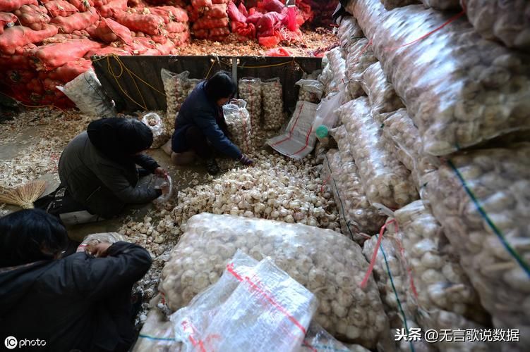 金乡县近4天新增感染趋势反弹_金乡最新新闻头条