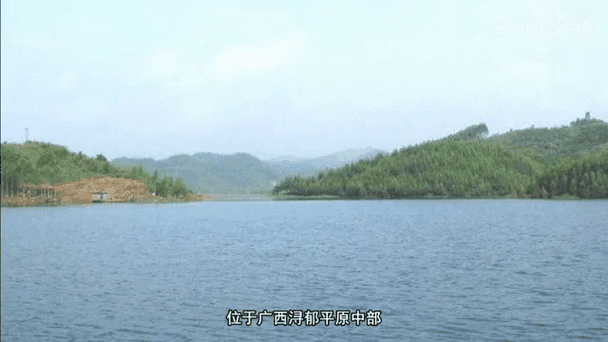 近4天疫情最新通报广西壮族自治区贵港市港北区:贵港最近好消息
