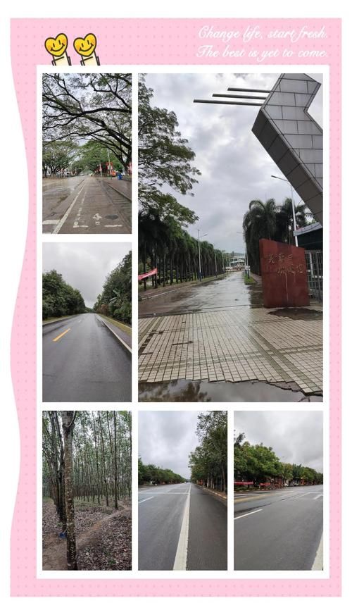海南儋州雅星镇疫情最新情报_儋州雅星镇景点有哪些