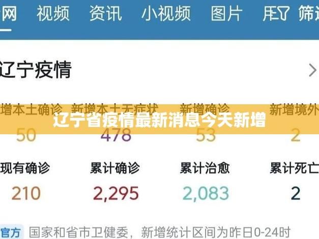 辽宁葫芦岛疫情怎么查风险地区/葫芦岛封路最新消息今天