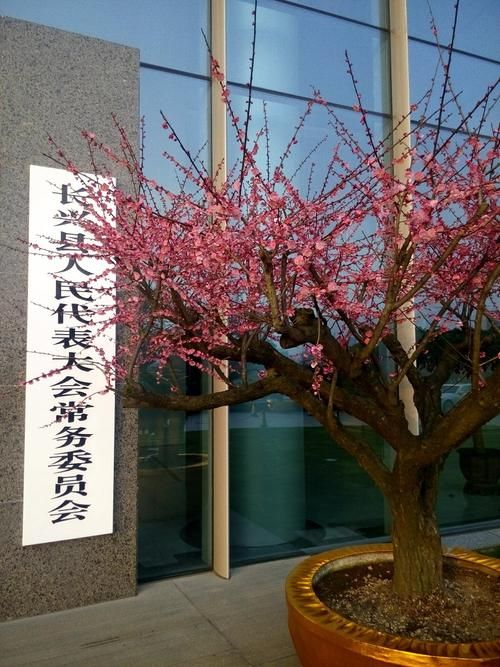 【发现湖州市1名密接者!_湖州发布】