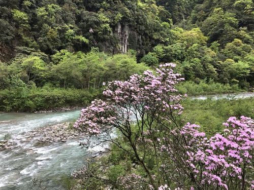 【天全县最新疫情临床,天全县最近一周天气预报】