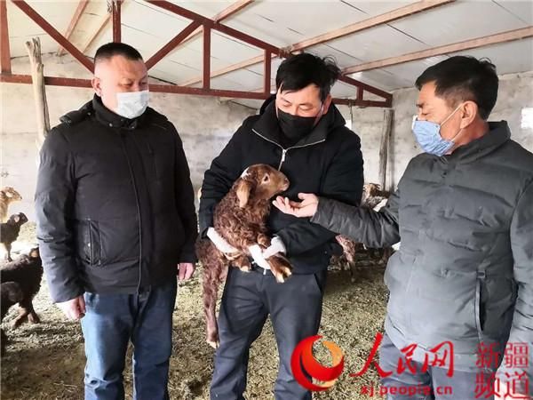  裕民县地区疫情管控严不:裕民县官网