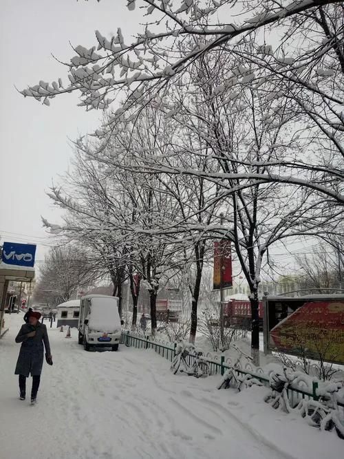 关于河北省邯郸市大名县新增本土确诊27例,均在新疆维吾尔自治区塔城地区托里县的信息