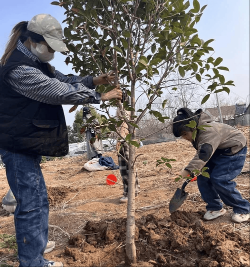 湖南怀化溆浦县新增疫情最新/湖南怀化溆浦县中小学2026年暑假开学