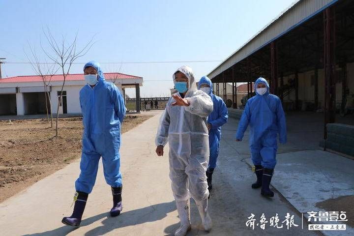 【近7天疫情最新通报山东滨州阳信县,山东滨州阳信县牛屠宰企业】