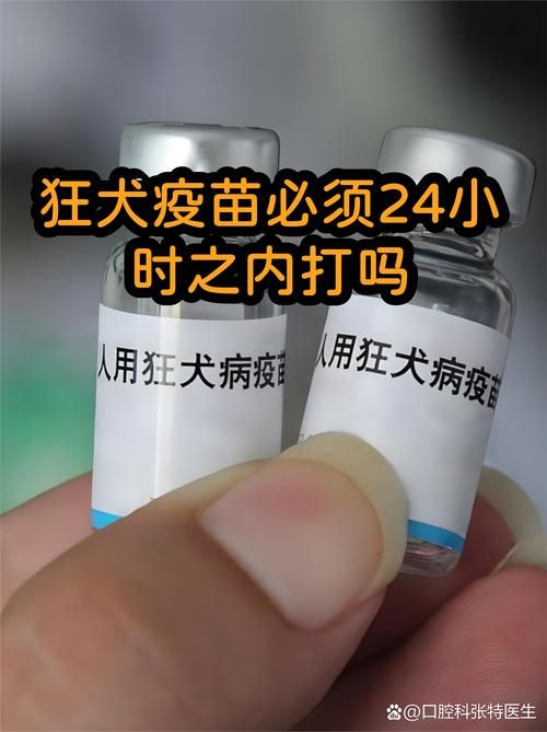 东西湖区几个地区有疫情发生/东西湖区哪里可以打狂犬疫苗