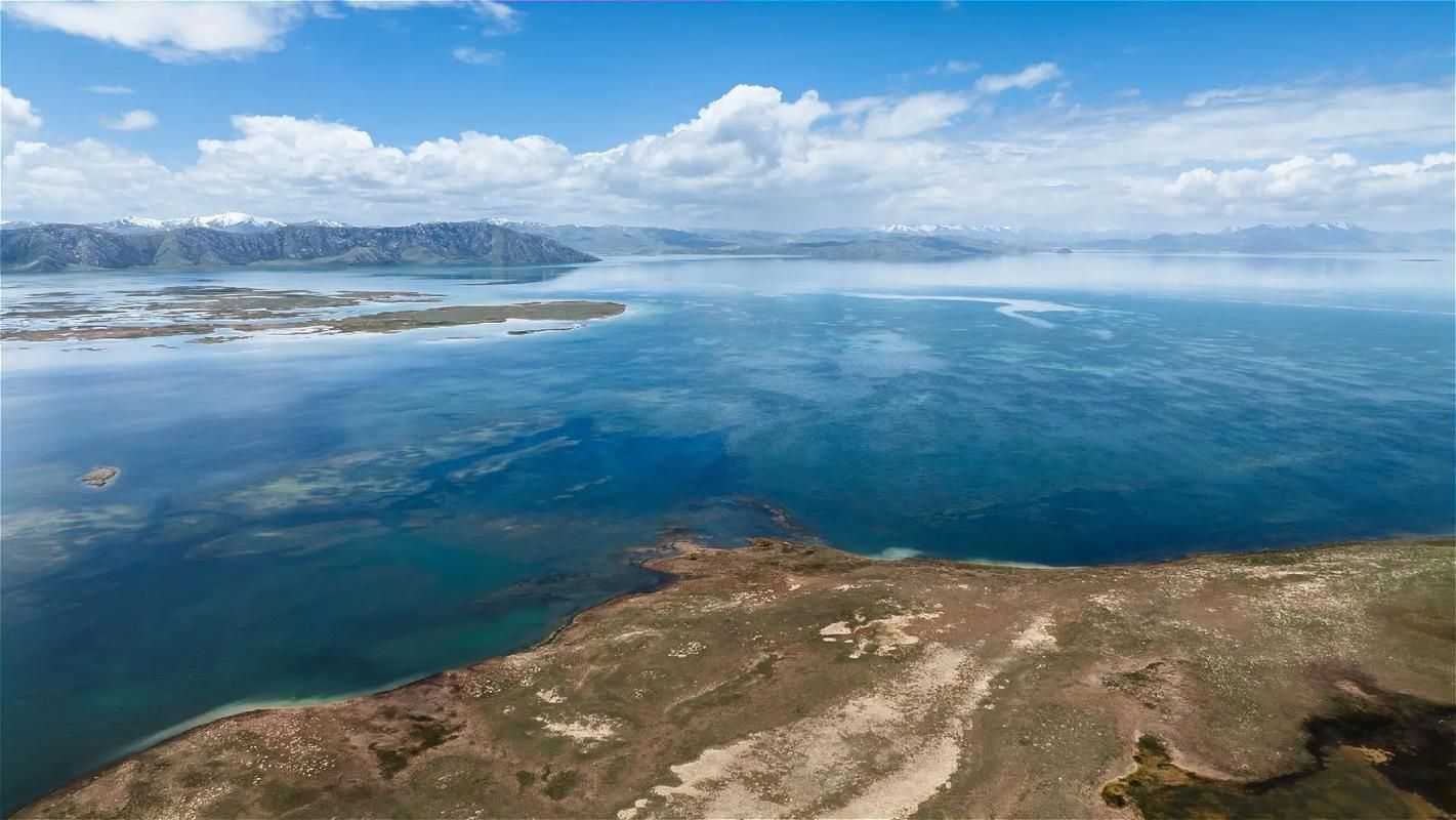 山西运城盐湖区新增27例重症,涉及青海海西蒙古族藏族自治州/山西运城盐湖区这两天发生地震了吗
