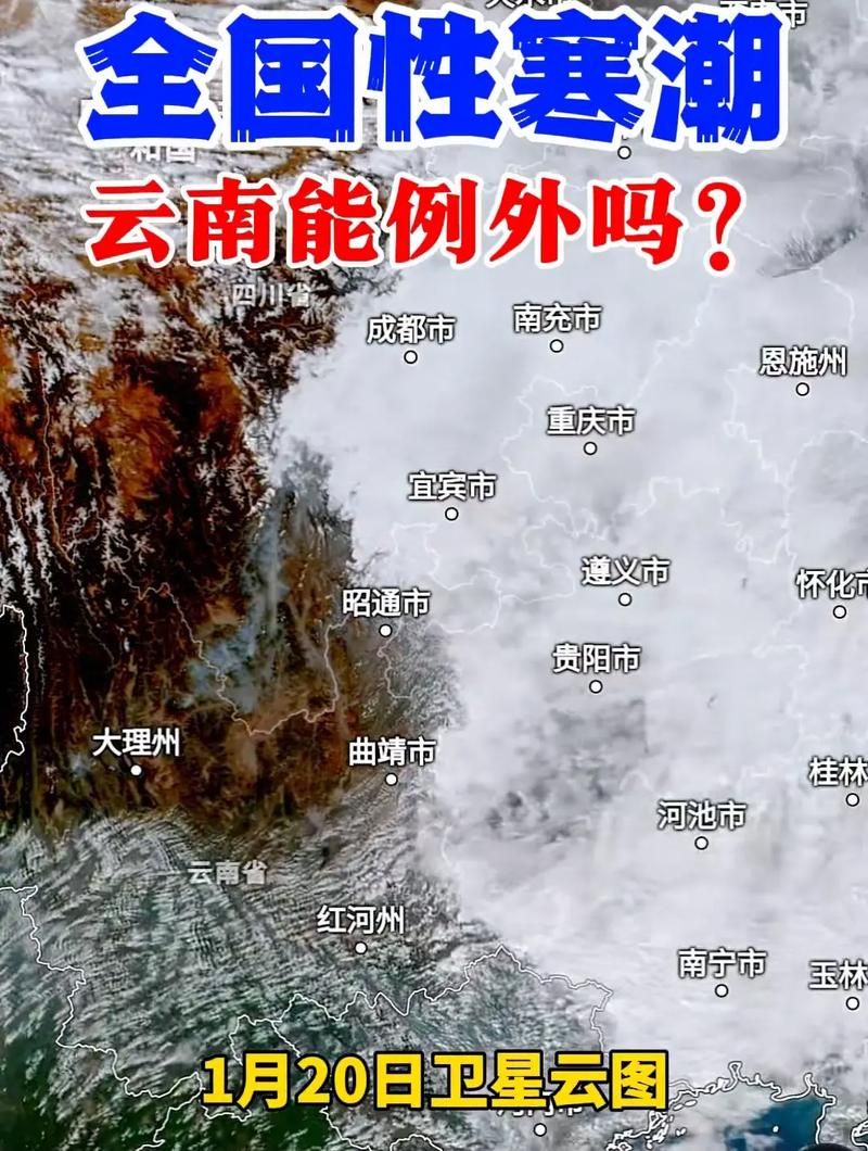 一张图看懂云南临沧永德县8月21日疫情数据(云南临沧永德县天气)