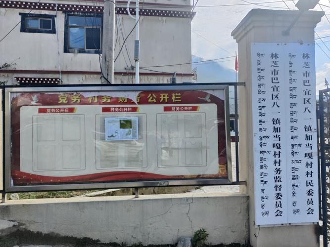 今冬巴宜区疫情最新:巴宜区政府最新班子成员名单及照片
